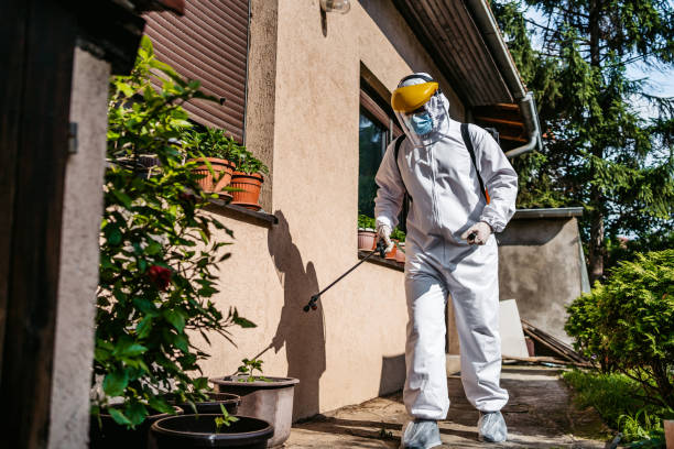 Best Pest Removal Services  in Hudson Lake, IN