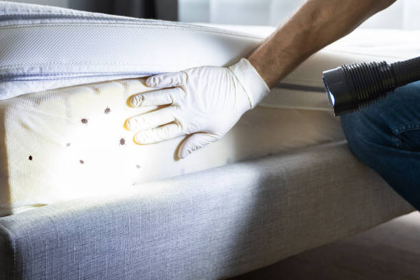 Best Pest Control Treatment  in Hudson Lake, IN