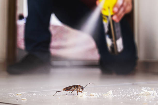 Best Residential Pest Control  in Hudson Lake, IN
