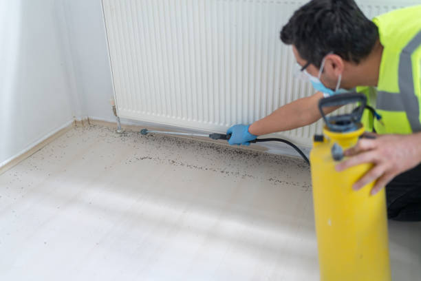 Best Bed Bug Extermination  in Hudson Lake, IN