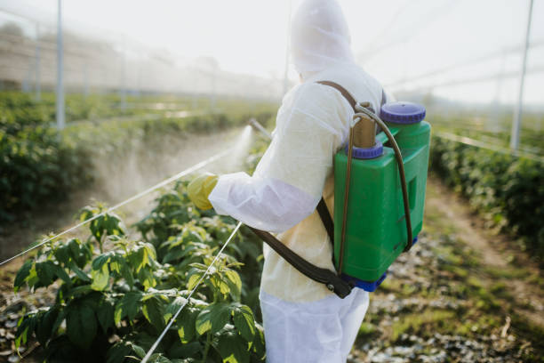 Best Affordable Pest Control Services  in Hudson Lake, IN